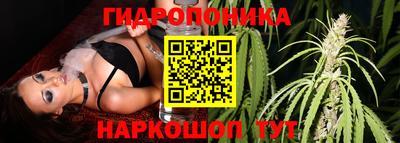 молекула духа Апшеронск