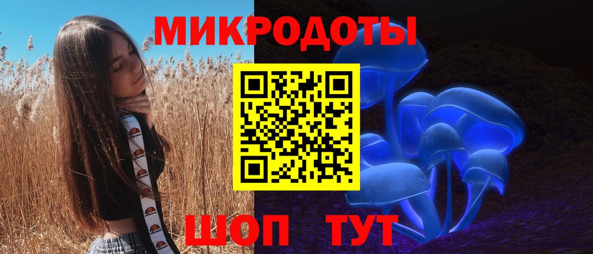 Астрахань  Галлюциногенные грибы Psilocybe  Галлюциногенные грибы Psilocybe  Вход с VPN 