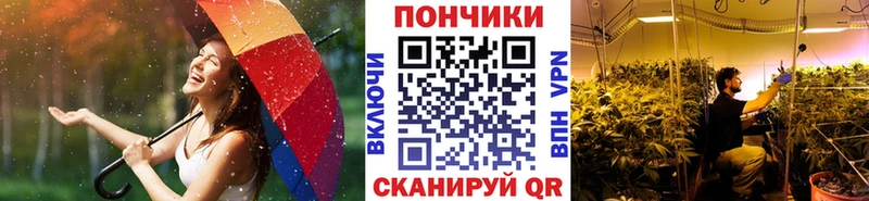 Шишки марихуана Amnesia  darknet Telegram  Астрахань  что такое наркотик 